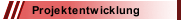 Projektentwicklung
